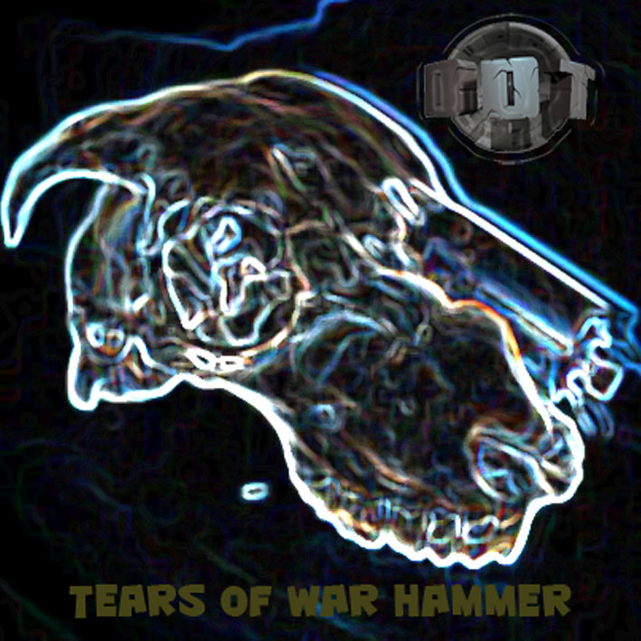 DOWNLOAD-Tears Of War Hammer-CCR 014